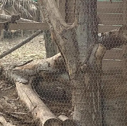 Aparthotel Luxury Orchid With A Garden In A Private Complex Cascadas Bulgaria Sunny Beach