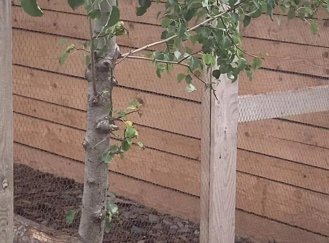 Aparthotel Luxury Orchid With A Garden In A Private Complex Cascadas Bulgaria 3*