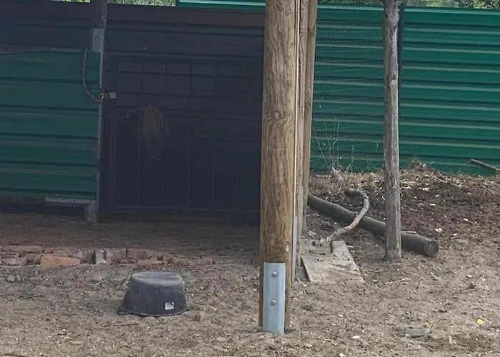 Luxury Orchid With A Garden In A Private Complex Cascadas Bulgaria 3*