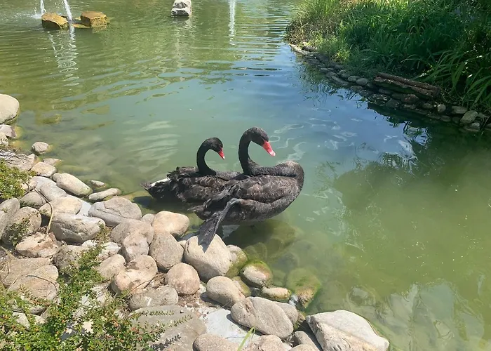 Luxury Orchid With A Garden In A Private Complex Cascadas Bulgaria