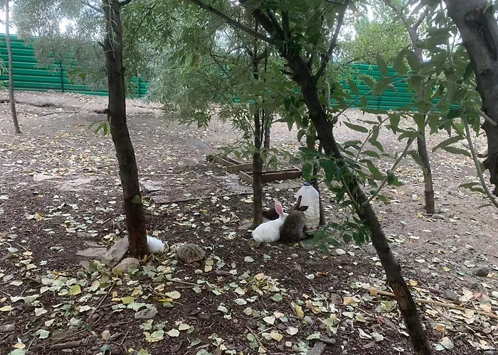 Aparthotel Luxury Orchid With A Garden In A Private Complex Cascadas Bulgaria 3*