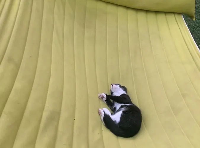 Luxury Orchid With A Garden In A Private Complex Cascadas Bulgaria 公寓式酒店