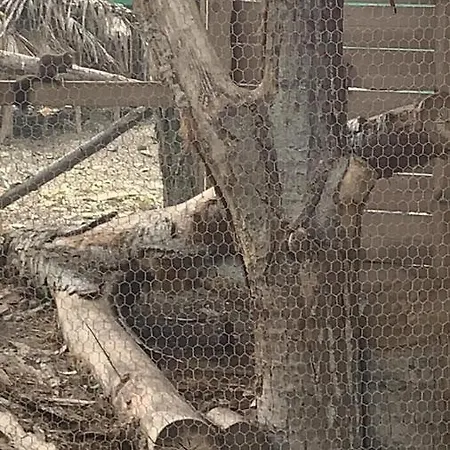 Apartahotel Luxury Orchid With A Garden In A Private Complex Cascadas Bulgaria Sunny Beach