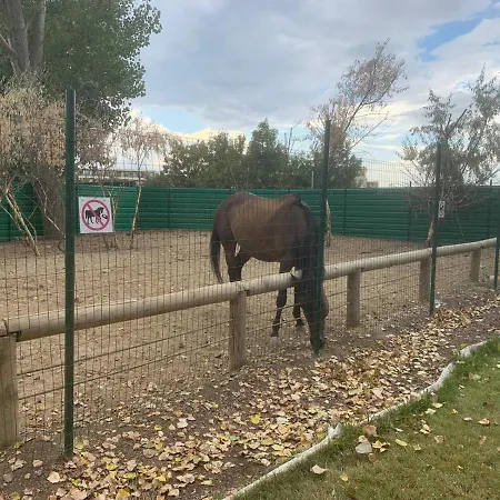 מלון דירות Luxury Orchid With A Garden In A Private Complex Cascadas Bulgaria 3*