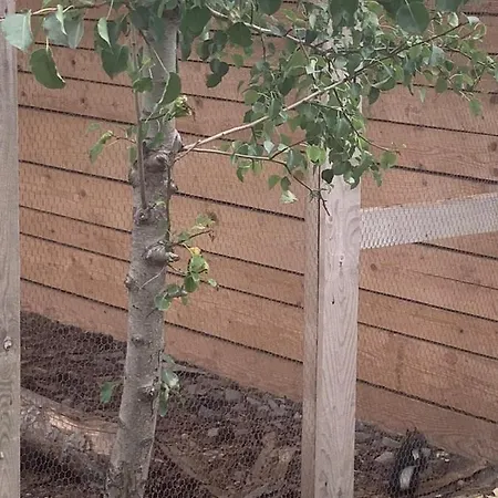 Apartahotel Luxury Orchid With A Garden In A Private Complex Cascadas Bulgaria 3*