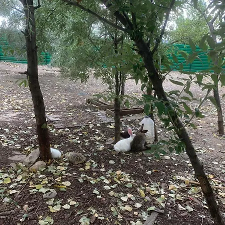 מלון דירות Luxury Orchid With A Garden In A Private Complex Cascadas Bulgaria 3*