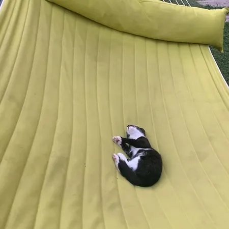 Luxury Orchid With A Garden In A Private Complex Cascadas Bulgaria Apartahotel