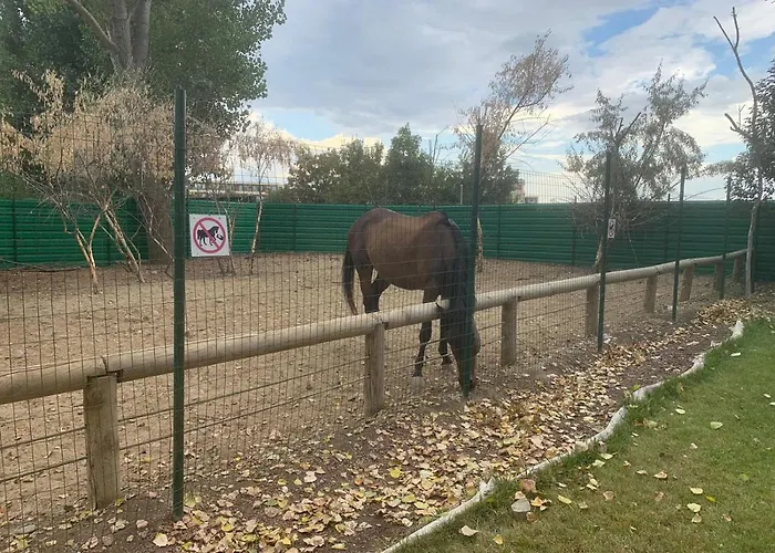Apartmanhotel Luxury Orchid With A Garden In A Private Complex Cascadas Bulgaria 3*
